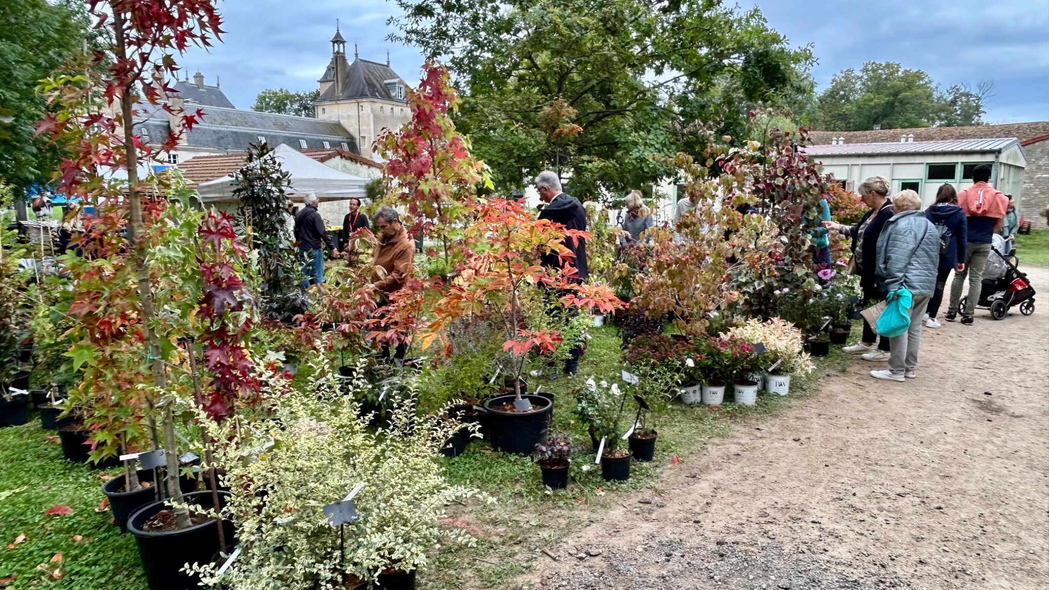 Foire aux Plantes et Château de La Loyère