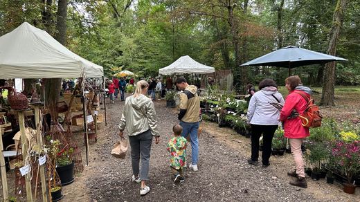 Visiteurs dans les allées de la foire