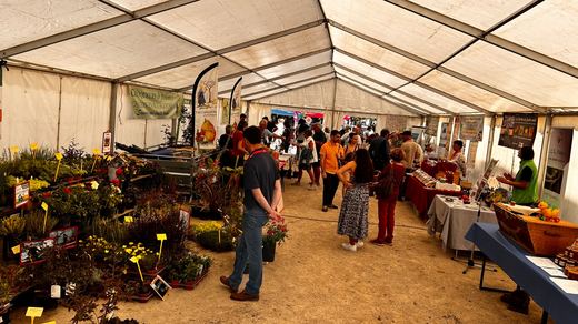 Visiteurs sous le chapiteau